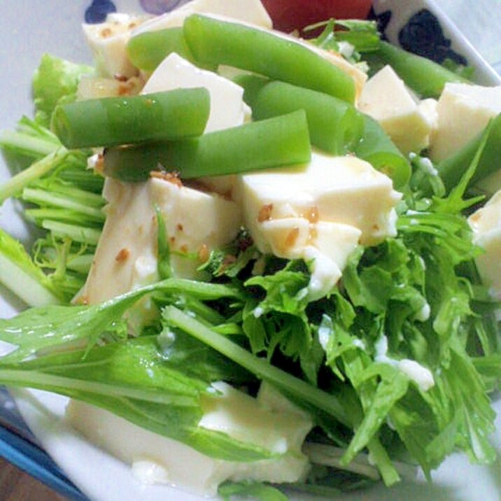 栄養たっぷり 豆腐 いんげんのさっぱりサラダ レシピ 作り方 By M And M 楽天レシピ